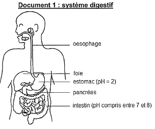 09f2b3d8b193f235410f113957993ed7.png 09f2b3d8b193f235410f113957993ed7.png