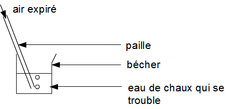 b08dec282aa2360bf12cda525b0d058c.png b08dec282aa2360bf12cda525b0d058c.png