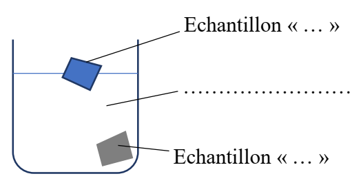 2020_serie_pro_image_2.png 2020_serie_pro_image_2.png