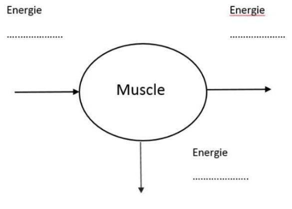 2021_centres_etrangers_triathlon_image_7.png 2021_centres_etrangers_triathlon_image_7.png