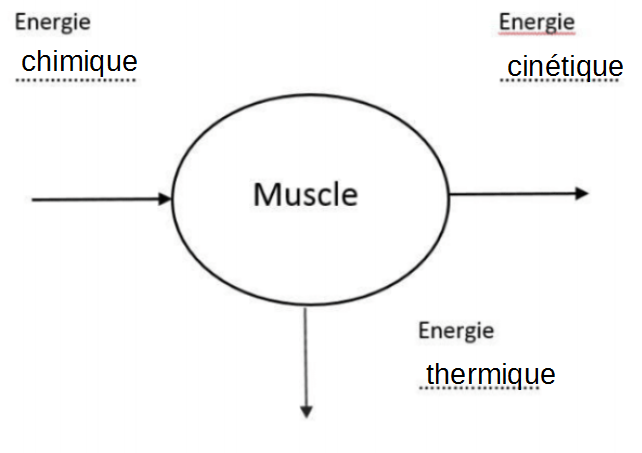 31e24dc818cac41bf0ee405464f659dc.png 31e24dc818cac41bf0ee405464f659dc.png
