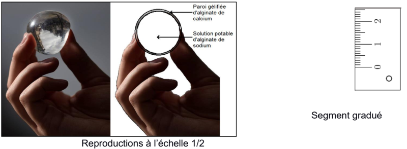 7dd95cd5de7a0147976c371a76ce10a7.png 7dd95cd5de7a0147976c371a76ce10a7.png