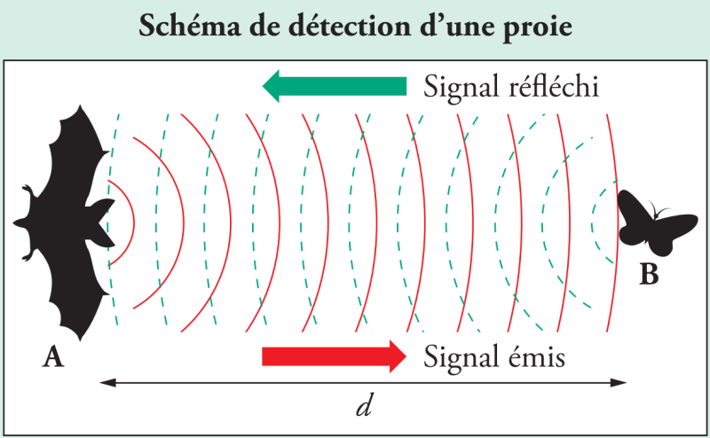 d117ae1de49c560e3fbadc798487b899.png d117ae1de49c560e3fbadc798487b899.png