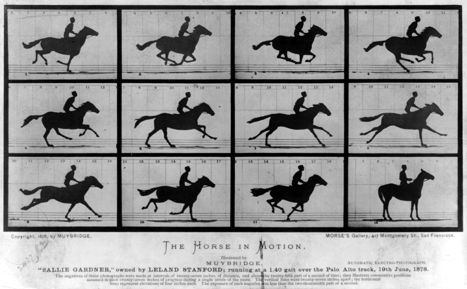 upload.wikimedia.org_wikipedia_commons_7_73_the_horse_in_motion.jpg