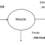 ba1dcc2bb80a9db29f07a637712927db.png