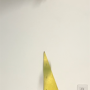 bd674421d8e3d50bfc560222b99631d0.png
