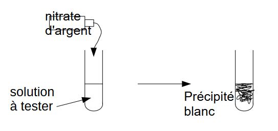 image1.jpg